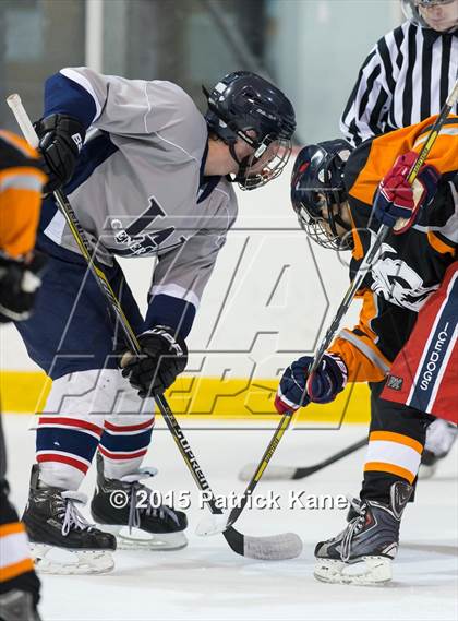 Thumbnail 1 in Hayfield/TC Williams/Lee @ Washington-Lee photogallery.
