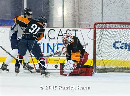 Thumbnail 1 in Hayfield/TC Williams/Lee @ Washington-Lee photogallery.
