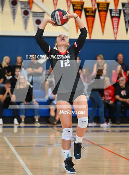 Thumbnail 1 in Redwood @ Tamalpais  photogallery.