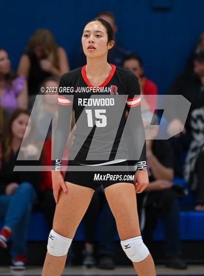 Thumbnail 2 in Redwood @ Tamalpais  photogallery.