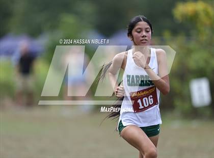 Thumbnail 2 in Girls Cobb County Cross Country Championships 2024 photogallery.