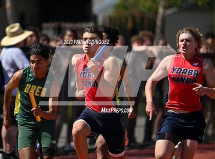Thumbnail 2 in Crestview League (Finals) photogallery.