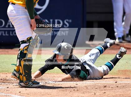Thumbnail 1 in Temple City vs. Malibu (CIF SS DIV 5 Final) photogallery.