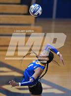 Photo from the gallery "Reed @ Reno"
