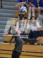 Photo from the gallery "Reed @ Reno"