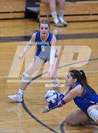 Photo from the gallery "Reed @ Reno"