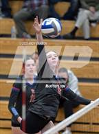 Photo from the gallery "Reed @ Reno"