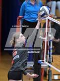 Photo from the gallery "Reed @ Reno"