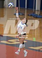 Photo from the gallery "Reed @ Reno"