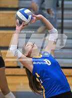 Photo from the gallery "Reed @ Reno"