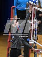 Photo from the gallery "Reed @ Reno"