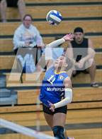 Photo from the gallery "Reed @ Reno"