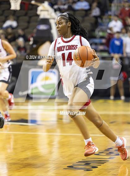 Thumbnail 3 in Cooper vs Holy Cross (2024 9th Region Girls Basketball Tournament) photogallery.