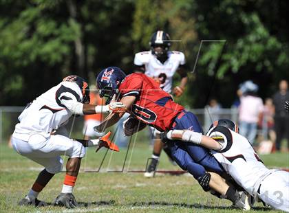 Thumbnail 2 in White Plains @ Ketcham photogallery.