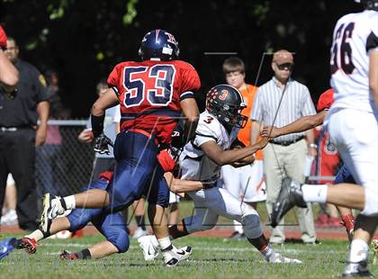 Thumbnail 1 in White Plains @ Ketcham photogallery.