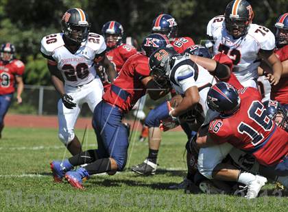 Thumbnail 3 in White Plains @ Ketcham photogallery.