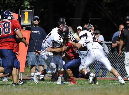 Thumbnail 1 in White Plains @ Ketcham photogallery.