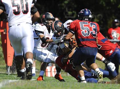 Thumbnail 2 in White Plains @ Ketcham photogallery.