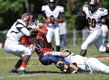 Thumbnail 3 in White Plains @ Ketcham photogallery.
