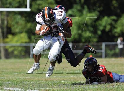 Thumbnail 1 in White Plains @ Ketcham photogallery.