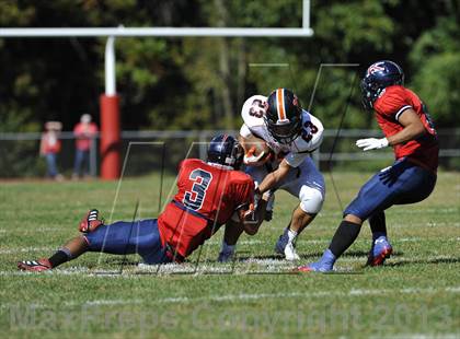 Thumbnail 1 in White Plains @ Ketcham photogallery.