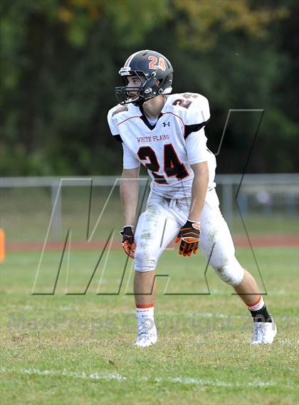 Thumbnail 3 in White Plains @ Ketcham photogallery.