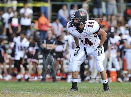 Thumbnail 3 in White Plains @ Ketcham photogallery.