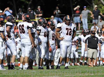 Thumbnail 3 in White Plains @ Ketcham photogallery.