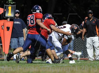 Thumbnail 2 in White Plains @ Ketcham photogallery.