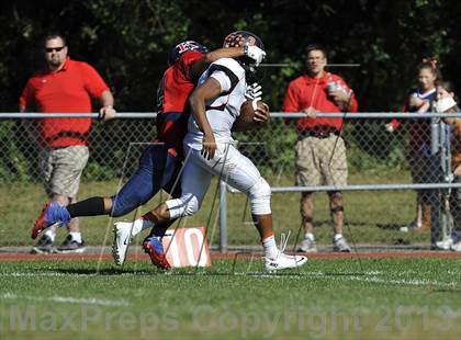 Thumbnail 3 in White Plains @ Ketcham photogallery.