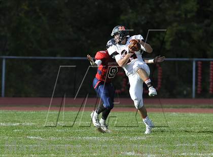 Thumbnail 2 in White Plains @ Ketcham photogallery.