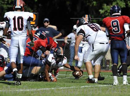 Thumbnail 3 in White Plains @ Ketcham photogallery.