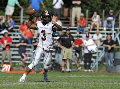 Thumbnail 3 in White Plains @ Ketcham photogallery.