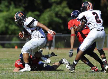 Thumbnail 2 in White Plains @ Ketcham photogallery.