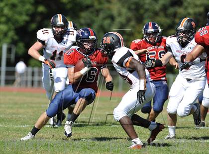 Thumbnail 3 in White Plains @ Ketcham photogallery.