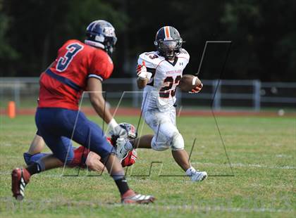 Thumbnail 3 in White Plains @ Ketcham photogallery.