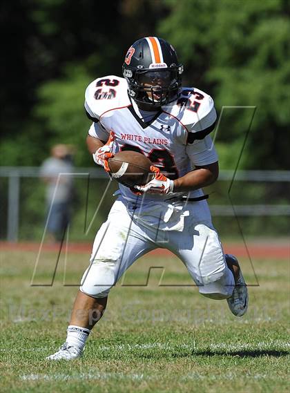 Thumbnail 2 in White Plains @ Ketcham photogallery.