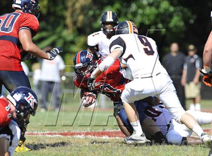 Thumbnail 1 in White Plains @ Ketcham photogallery.