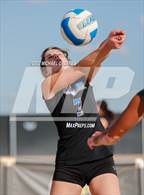 Photo from the gallery "Westwood @ Casteel"