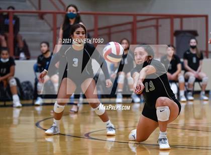Thumbnail 1 in Harlan vs O'Connor photogallery.