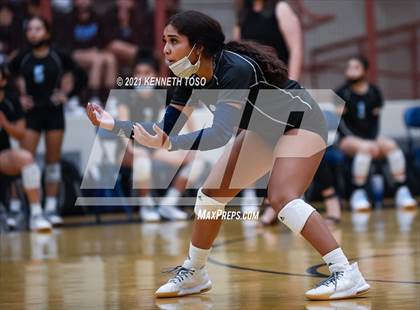 Thumbnail 2 in Harlan vs O'Connor photogallery.