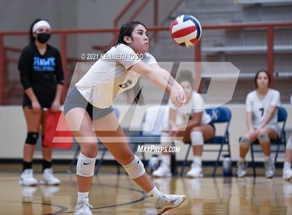 Thumbnail 1 in Harlan vs O'Connor photogallery.