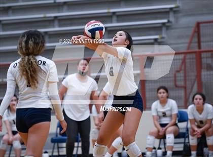 Thumbnail 2 in Harlan vs O'Connor photogallery.