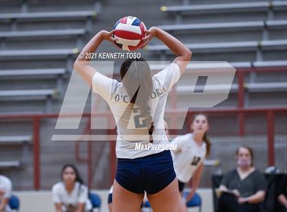 Thumbnail 1 in Harlan vs O'Connor photogallery.