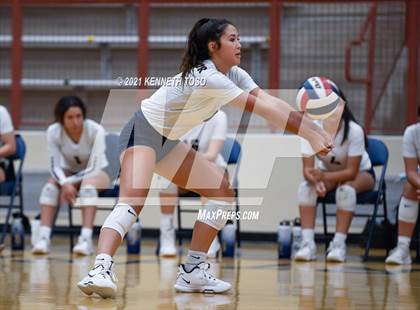 Thumbnail 3 in Harlan vs O'Connor photogallery.
