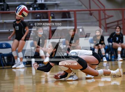 Thumbnail 2 in Harlan vs O'Connor photogallery.