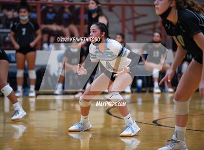 Thumbnail 2 in Harlan vs O'Connor photogallery.