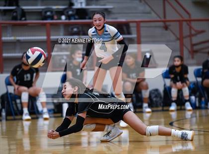 Thumbnail 1 in Harlan vs O'Connor photogallery.