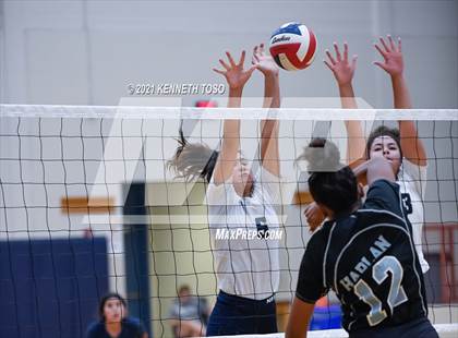 Thumbnail 1 in Harlan vs O'Connor photogallery.