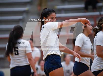 Thumbnail 3 in Harlan vs O'Connor photogallery.